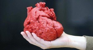 cuore-3d