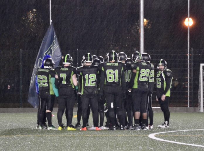 Bears Alessandria