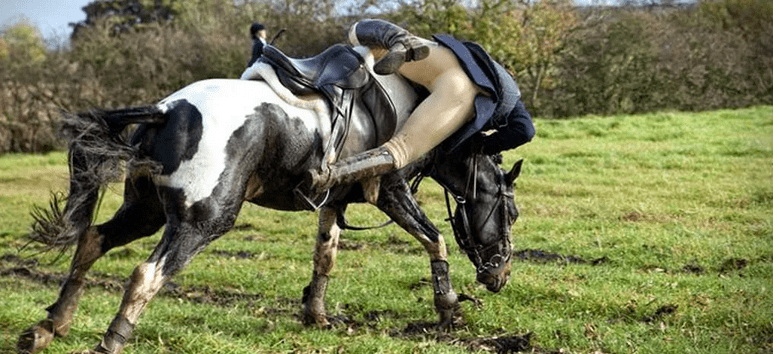 Club Cavallo Italia spiega ‘Come cadere da cavallo’