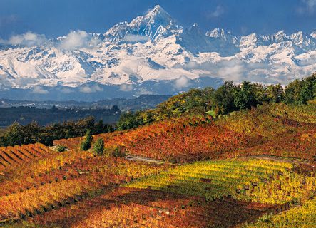 Paesaggi Vitivinicoli del Piemonte: mostra ad Alba <br/> a 10 anni dalla nomina a Patrimonio Unesco