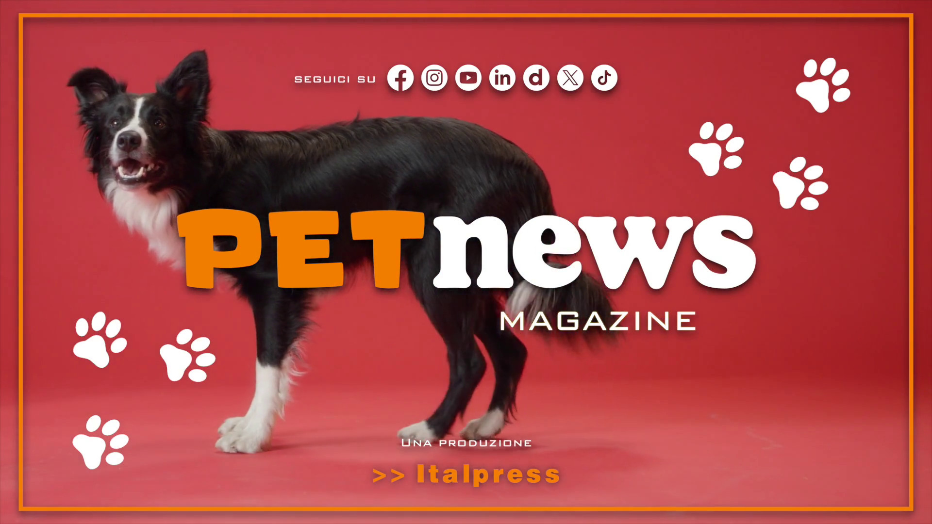 PetNews Magazine – 13/5/2025