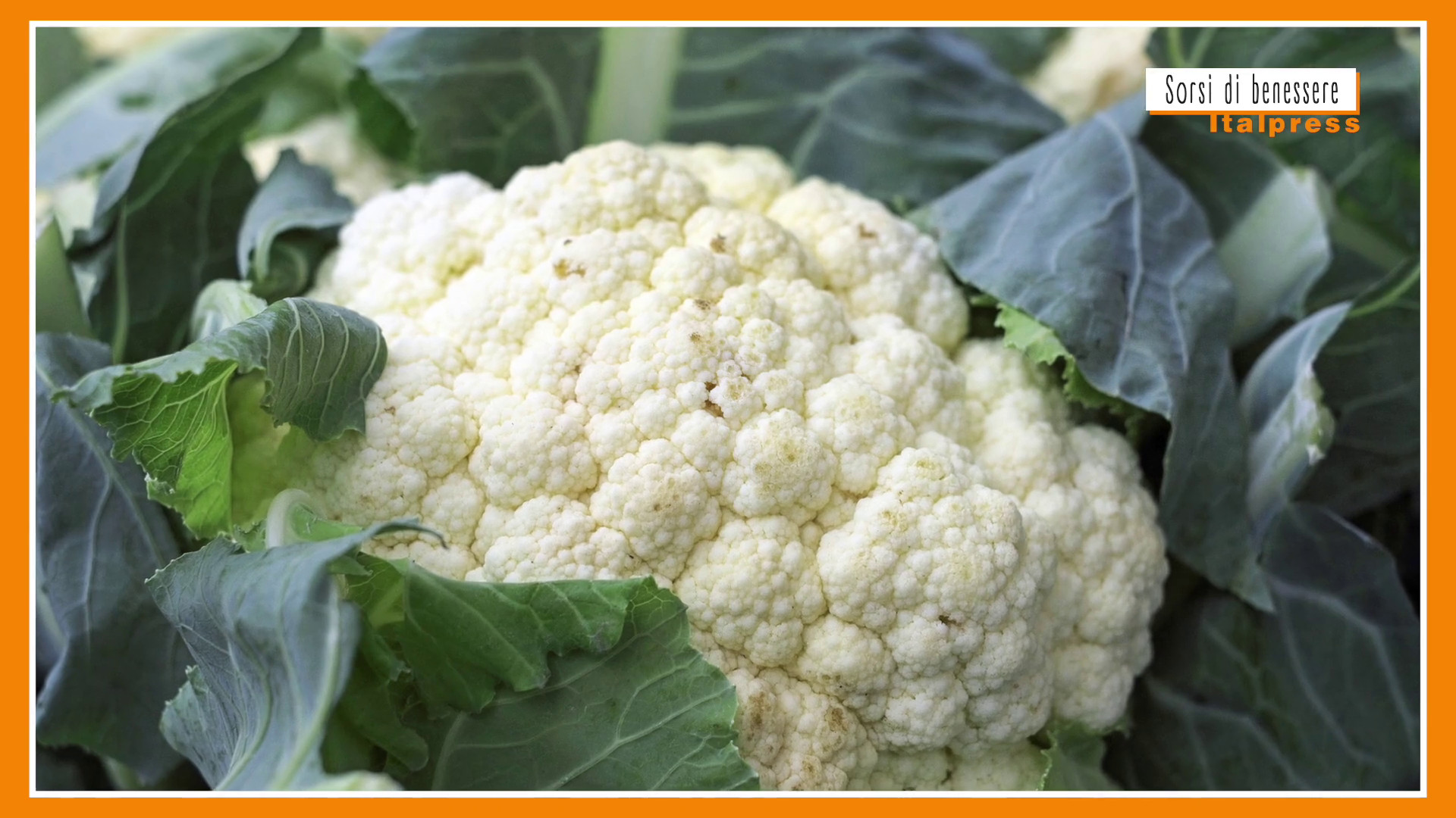 Sorsi di Benessere – Un pesto di cavolfiore salutare e pratico