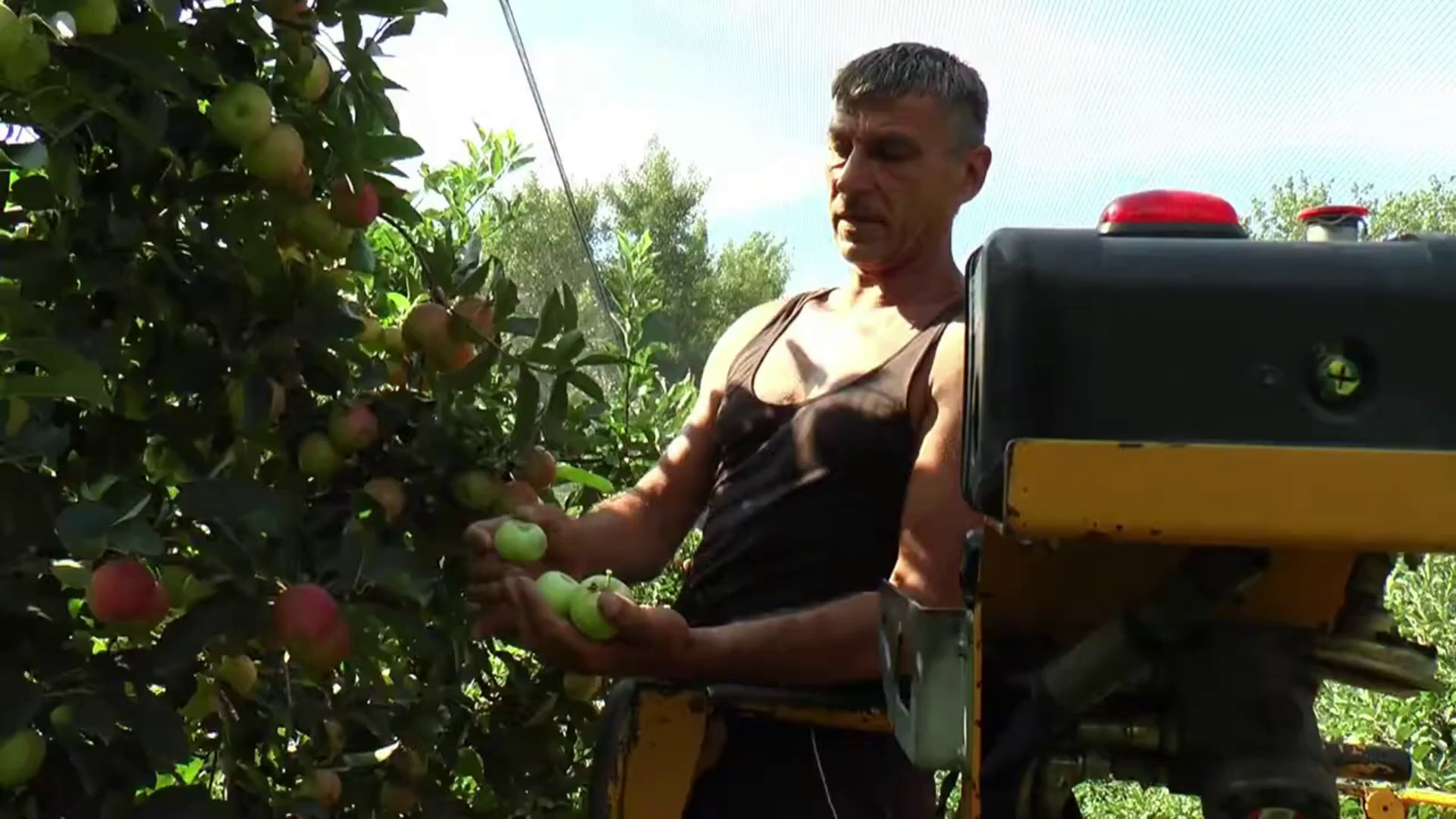 UE, per l’agricoltura italiana 10 miliardi in più
