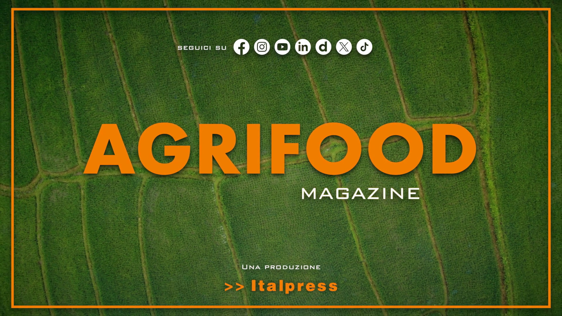 Agrifood Magazine – 8/7/2026