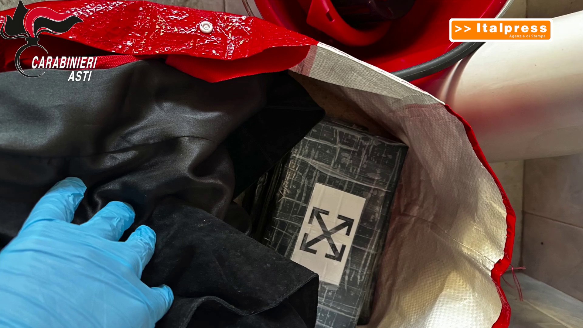 Blitz antidroga, ad Asti scoperta una piantagione con 1200 piante